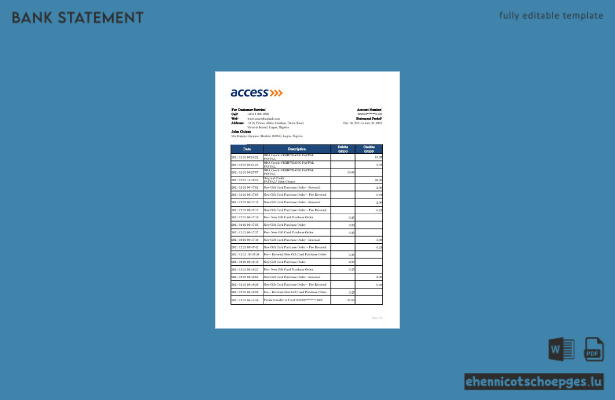 Nigeria Access Kontoauszug Excel-Beispielvorschau